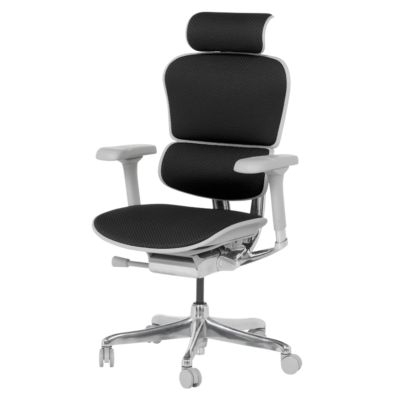 Ергономичен офис стол Ergohuman Elite 2 дамаска черен-сива рамка